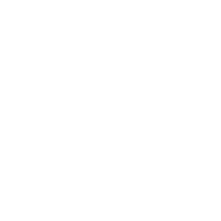 Vizor