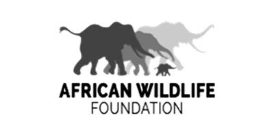 african-wildlife-foundation